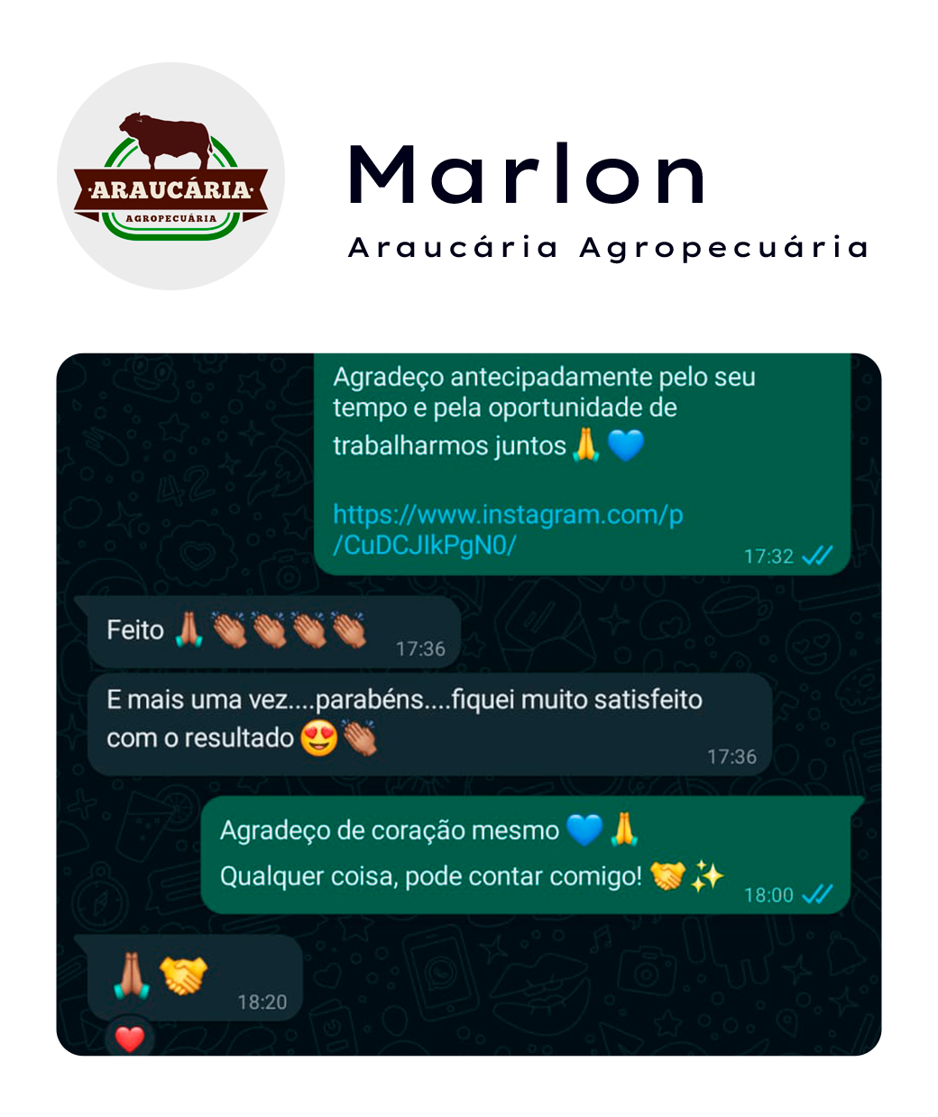 feedbacksPrancheta-3